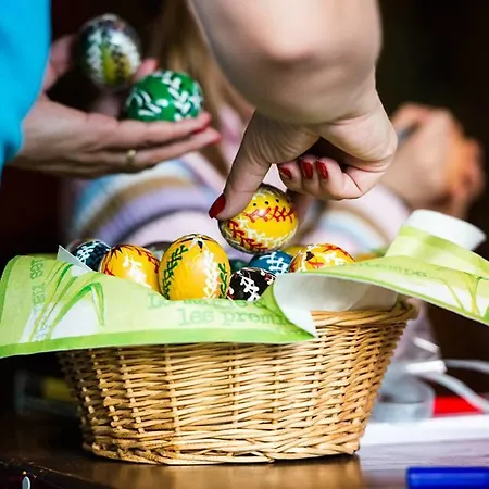 Activitypark Vsemina Otel Trnava